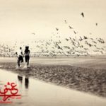 حقیقت دارد تو را دوست دارم