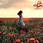 بوسه